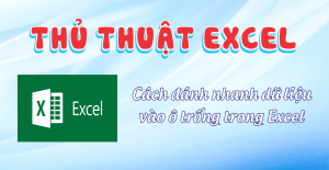 cach danh nhah du lieu vao trong excel